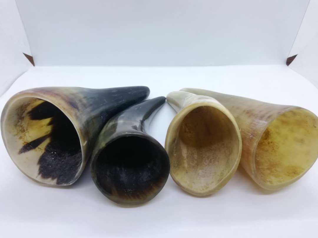 Cup Bekam Tanduk - Image 13