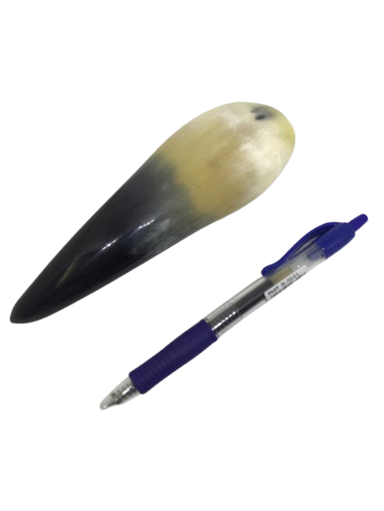 Guasha Tanduk - Image 4