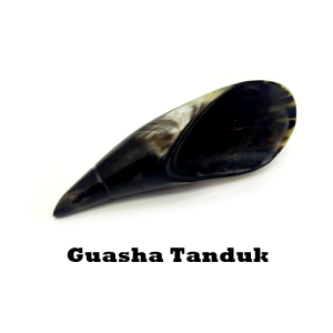 Guasha Tanduk