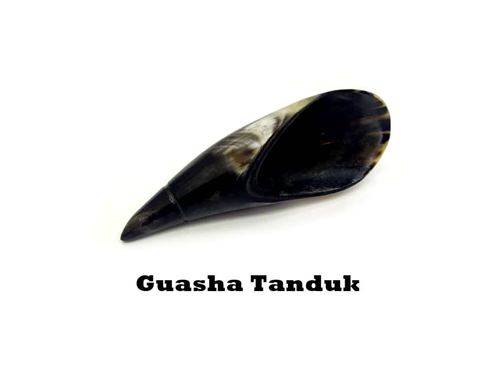 Guasha Tanduk