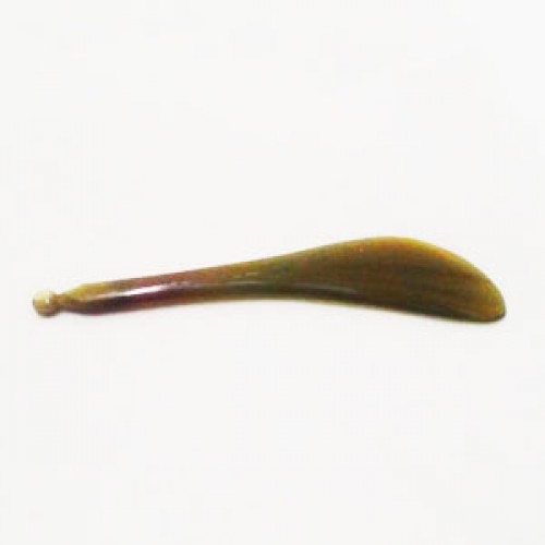 Guasha Scople - Image 2