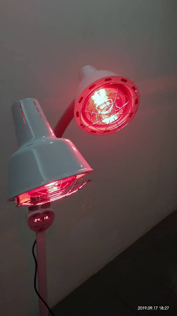 Lampu Terapi Infra Red (3 Jenis) - Image 8