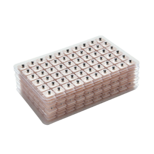 Acupuncture Needle Ear Seeds (2 Jenis)