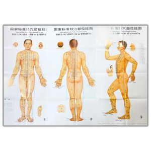 Poster Akupuntur Wallmap (3pcs/set)