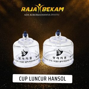 Cup Luncur Hansol Saiz Besar (2 saiz)