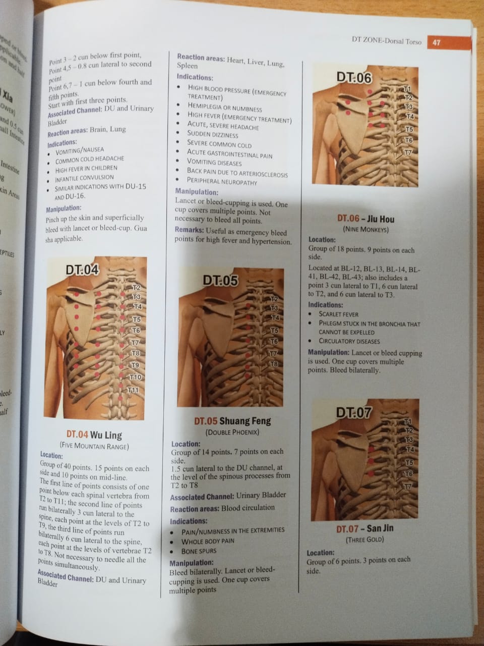 Buku Master Tung and TCM Acupunture Points (Versi2) - Image 5