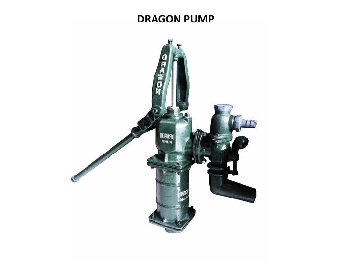 Pam Air Dragon - Image 2