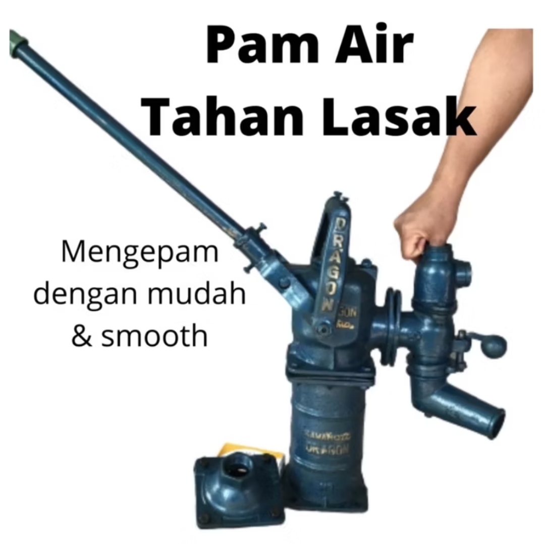 Pam Air Dragon - Image 4