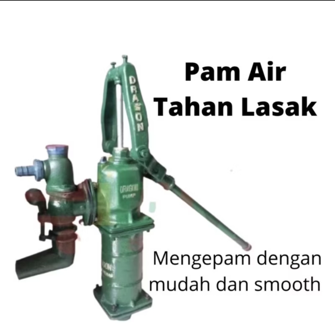 Pam Air Dragon - Image 5